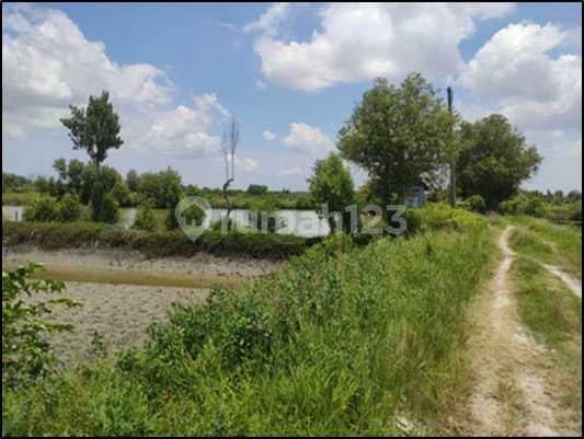 0416.213S(C) Tanah Lelang Manyar Gresik di Raya Manyar