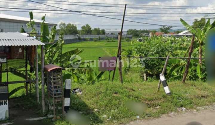 0312.117(Kr) Tanah Lelang Jombang di Kudu di Tanah Raya Gledek-Ploso