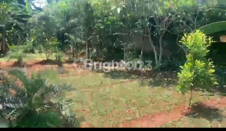 Tanah Dipinggir Jalan Mandor Demong Bekasi Nego sampai Deal