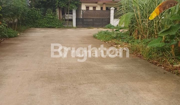 Tanah datar dilokasi berkembang