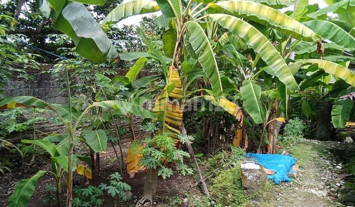 Di Jual Tanah Bonus Bangunan Harga Rendah Lokasi Strategis