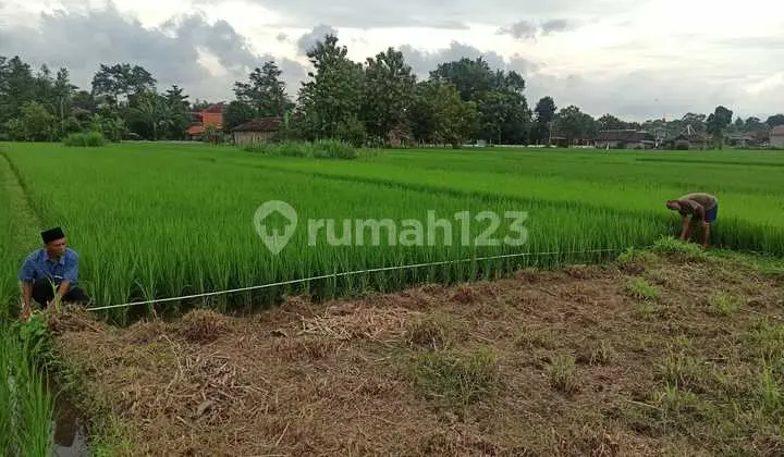 Di Jual Harga Rendah Tanah Di Dekat Candi Boko