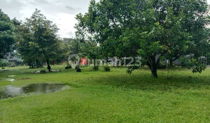 Tanah Lahan Hijau Akses Mobil Berpagar 1265M² Bonus Rumah