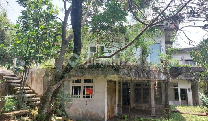 Large Villa 1090M² Price Reduced 80%