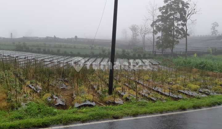 Prime Land by the Road with Good Investment Potential in Southern Magelang, Full Certificate