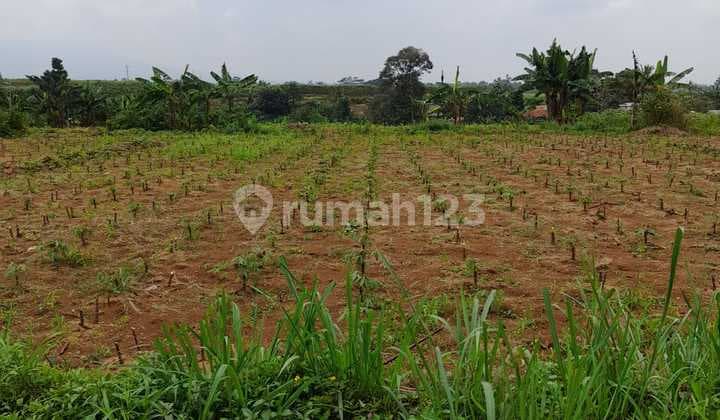 Lahan Tanah Darat di Sentul City SHM Sangat Luas Sangat Cocok untuk Perumahan Lapangan Golf atau Super Blok Dll.