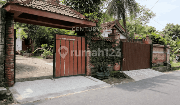 Homestay dan Gor Dekat Mercubuana Wates bisa Beli Gor Saja