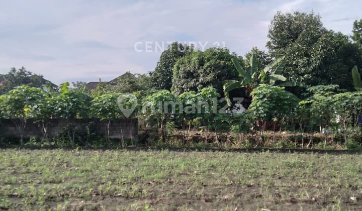 Tanah Luas 703M2 di Dekat Jec Cocok untuk Bisnis Kos