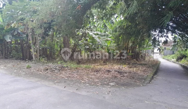 Tanah di Berbah Dekat Bandara Adisucipto untuk Hunian dan Kos Tanah di Berbah Dekat Bandara Adisucipto untuk Hunian dan Kos
