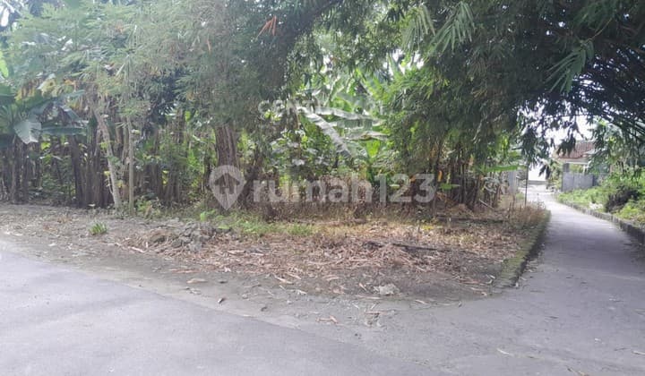 Tanah di Berbah Dekat Bandara Adisucipto untuk Hunian dan Kos