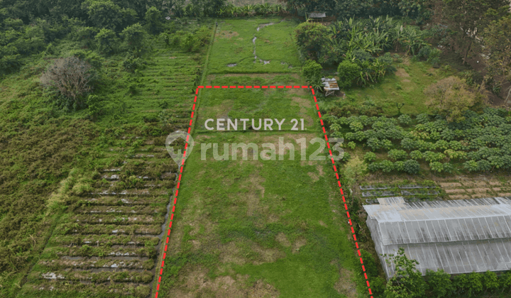 Tanah LD 25m Di Samping Asrama Janabadra Cocok Untuk Bisnis Kos