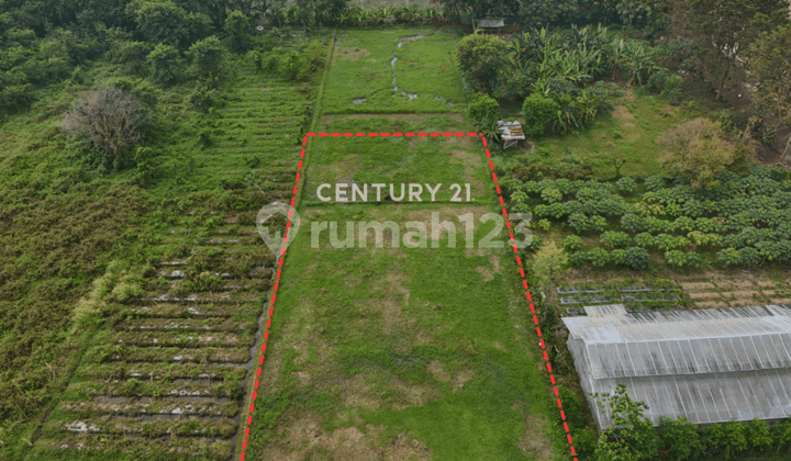 Land LD 25m Next to Janabadra Dormitory, Suitable for Boarding Business.