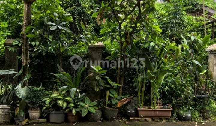 Dijualrumah Hitungharga Tanah Saja Ditelaga Kahuripan
