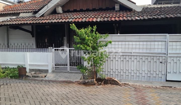 Rumah Daerah Kayu Mas Semarang
