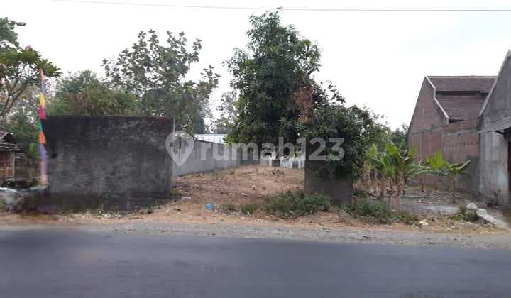 Tanah Luas Strategis di Kuripan Mranggen