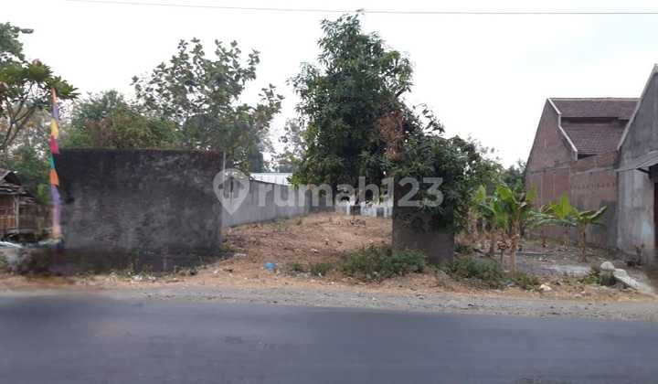 Tanah Luas Strategis di Kuripan Mranggen