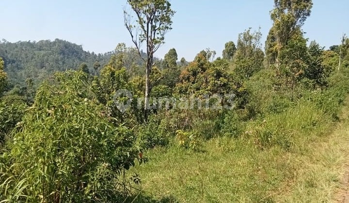 Ready-to-Use Exclusive Large Land in Sukorejo Kendal