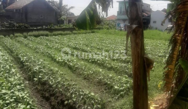 Dijual Tanah Kavling Strategis Dekat Kampus Upi Cibiru Cocok Jadi Tempat Kosan