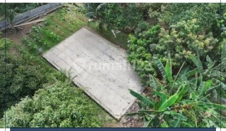 Jual Tanah Lido Bogor Tanah Sangat Subur Banyak Pohon Buah