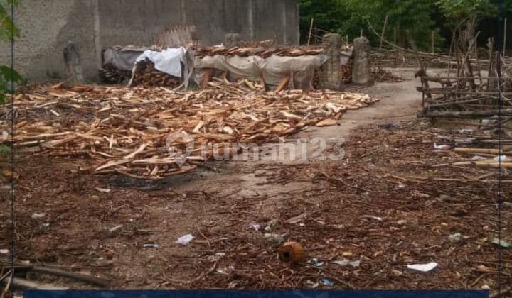 Dijual Murah Tanah Ketapang Mauk SHM - Sertifikat Hak Milik 1300 m²