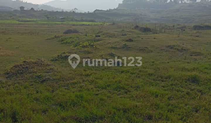 Jual Cepat Tanah Kawasan Peruntukan Industri Desa Lulut Klapa Nunggal Citeureup Bogor