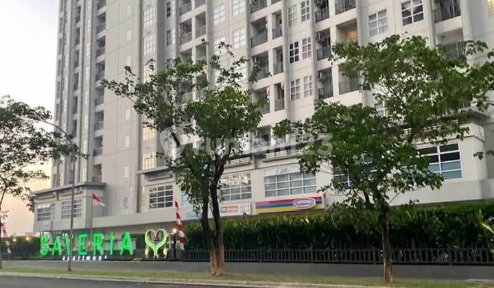 Dijual Saveria North LT 8 Furnished - 410 Juta Nego!