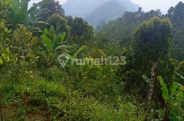 Investors Welcome! Commercial Land for Sale at Turyapada Tourism Area, Bedugul Bali.