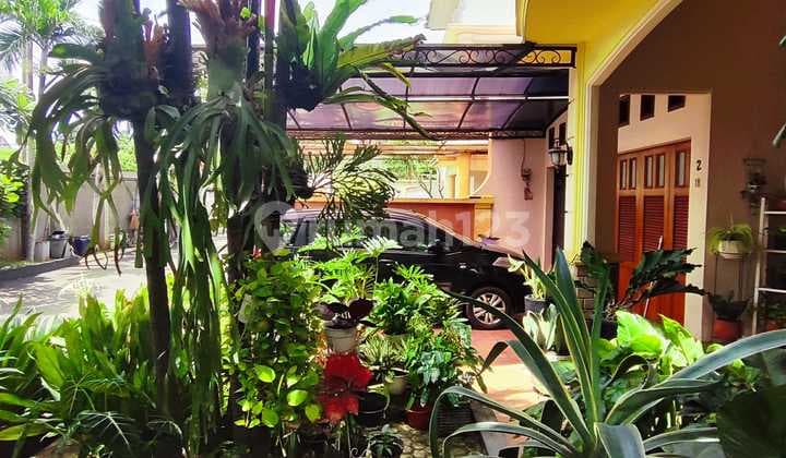 Rumah Lelang Murah Komplek Pribadi Condet Kramat Jati Jaktim