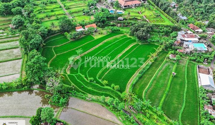 Land and Rice Fields with Semi Villa, SHM 8140M2 in Selat, Buleleng