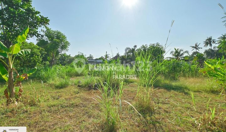 Tanah Siap di Bangun, 200M2, SHM di Temukus, Buleleng