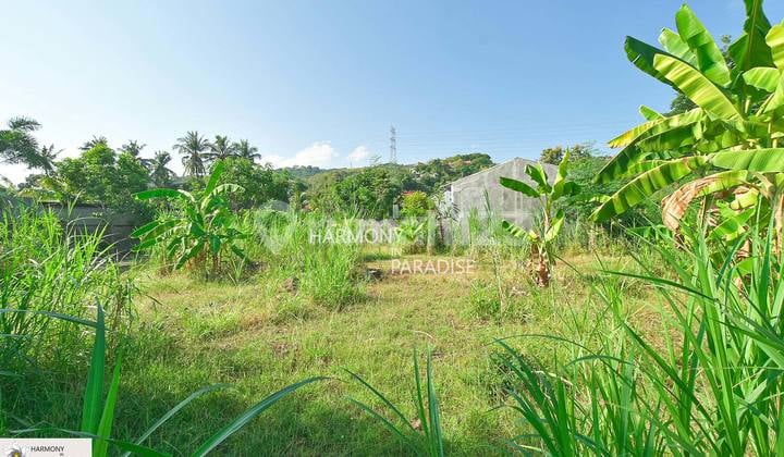 Tanah Siap Dibangun, 400M2, SHM di Temukus, Lovina, Buleleng