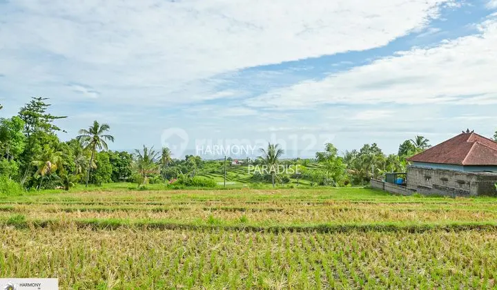 Rice Field with Sea View, 4700M2 Freehold (SHM) in Panji, Buleleng