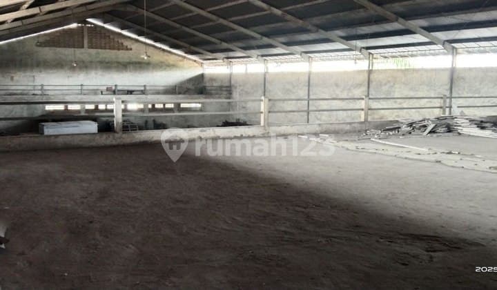 Strategic Warehouse Raya Trosobo Sidoarjo - Suitable for Logistics & Distribution