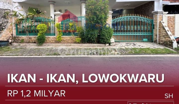 Dijual Rumah Selangkah Dengan Pasar Blimbing, Smp Salsabillah, Sekolah Hwa Ind Malang Lokasi Strategis
