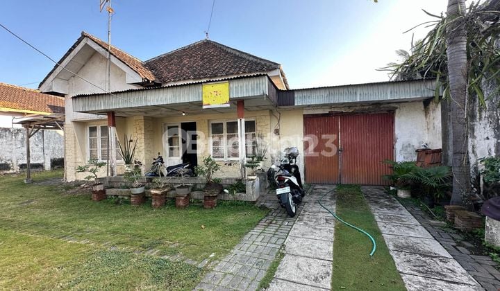Rumah Sarang Burung Walet di Bondowoso Jawa Timur