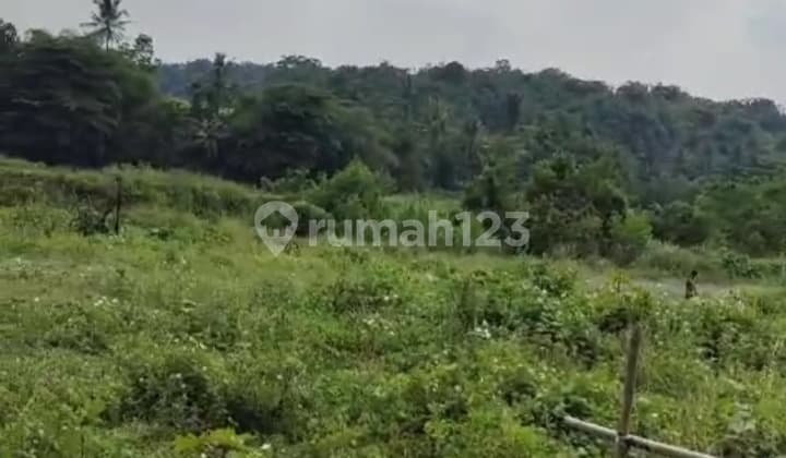 Land for Sale with Lake View in Suradita Location