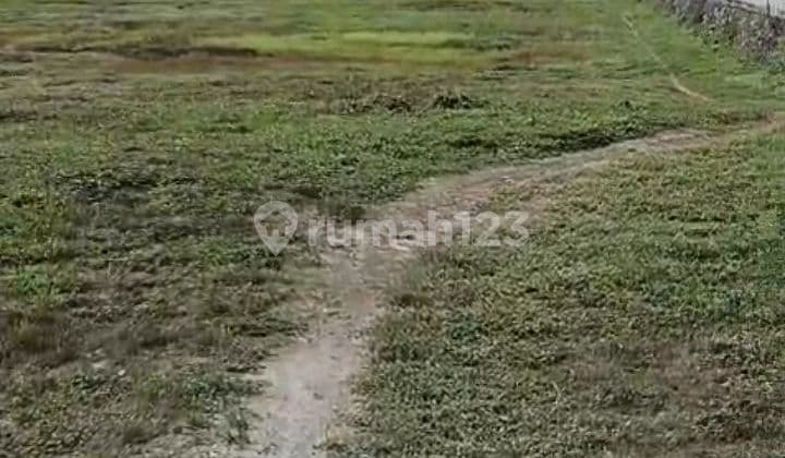 Jual Tanah DiTeluk Naga Tangerang