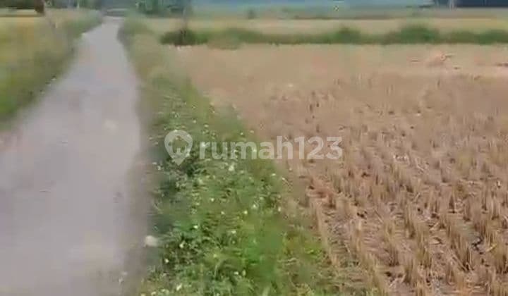 Jual Lahan Lokasi Cikande Asem