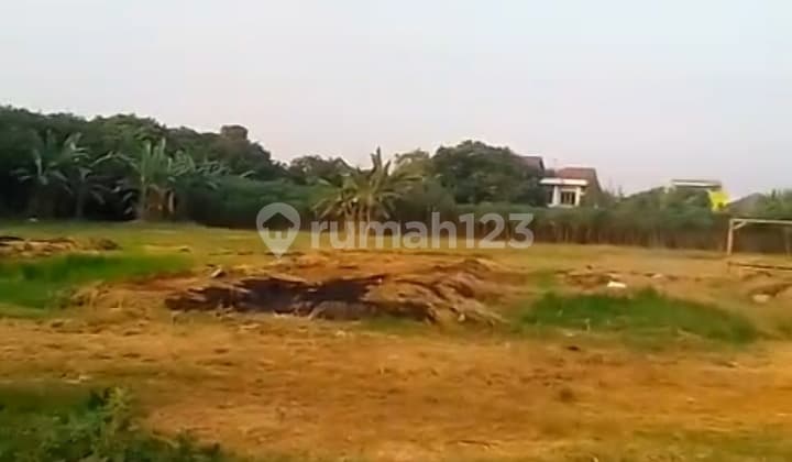 Jual Tanah Dicibinong