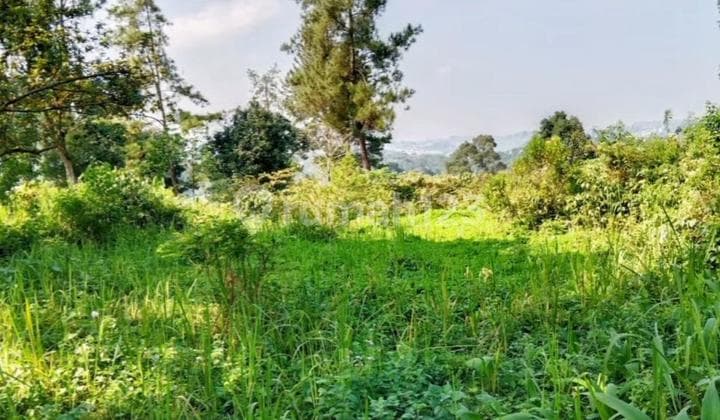 Tanah Kavling di Megamendung Bogor Jawa Barat Strategis