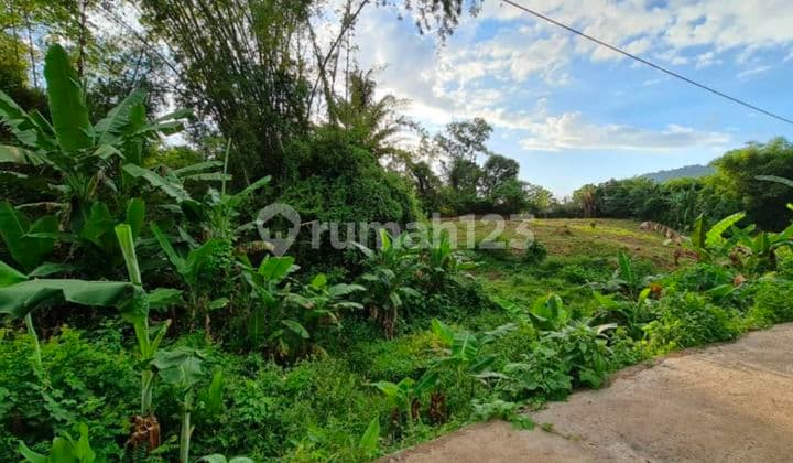 Tanah Poros Paccellekang Pattalasang Lokasi Strategis