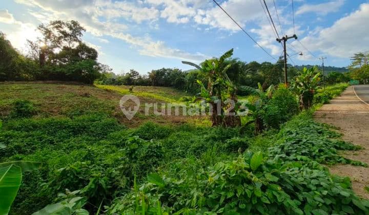 Tanah Poros Paccellekang, Pattalassang Gowa