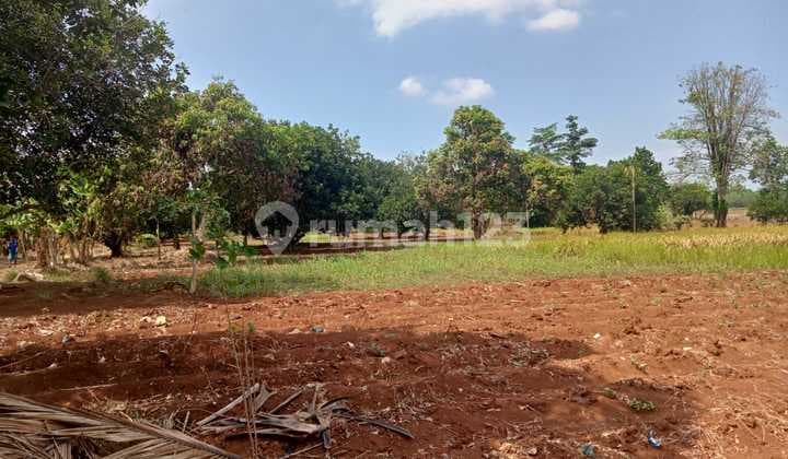 Tanah Kavling di Rawa Tapen Purwadadi Subang Jawa Barat Strategis