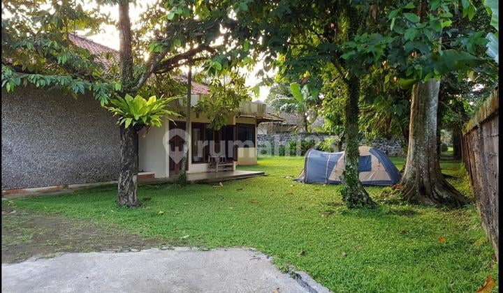 Dijual Tanah Bonus 3 Rumah Tinggal Ada Tanaman Buah Produktif Lokasi Strategis Tajur Bogor