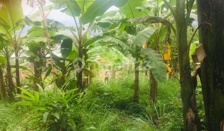 Land for Sale with Sukamakmur Certificate in Cibadak, Bogor