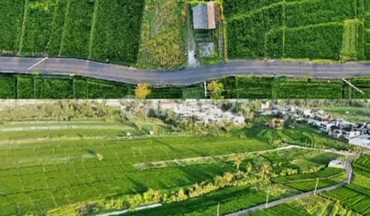 Hot Sale! Lahan Hijau View Pesawahan, Cocok Utk Bangun Villa