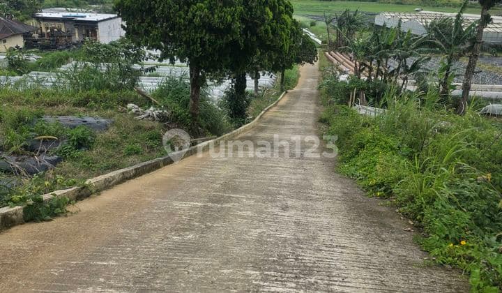 Di Bedugul, Lahan Dijual View Danau