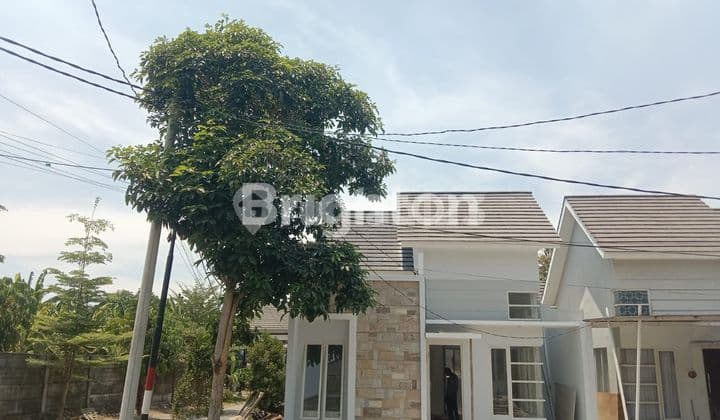 RUMAH SAVANA REGENCY DI DRIYOREJO GRESIK