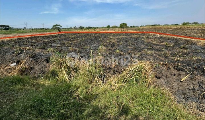 Dijual Tanah Di Zona Industri Dawarblandong Dijual Tanah Di Zona Industri Dawarblandong