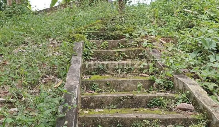 Dijual Tanah 5 ha Hak Milik cocok Untuk Pabrik Minuman